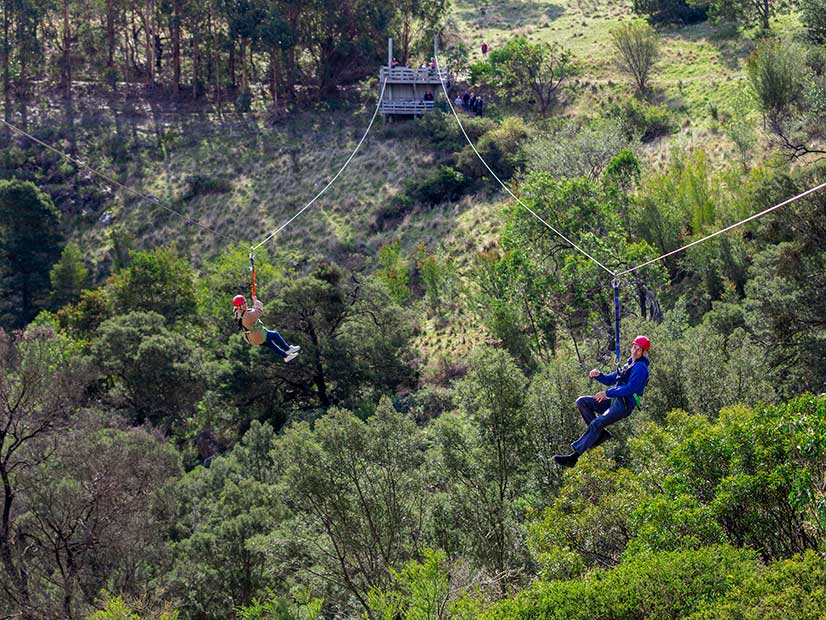 Two adults on a zipline at the Y Discovery Camps