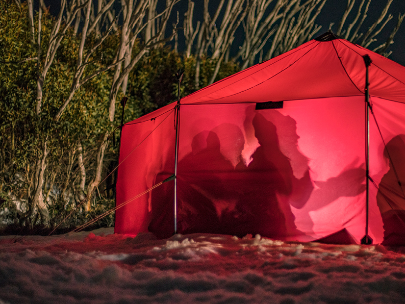 A large camping tent is setup amongst gum trees during winter.