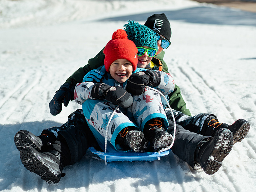 Children tobogganing at Howmans Gap Alpine Discovery Camp